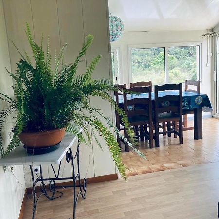Maison A Bourg- Murat Proche De La Cite Du Volcan La Plaine des Cafres Zewnętrze zdjęcie